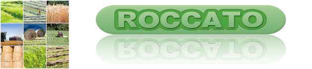 Logo Roccato